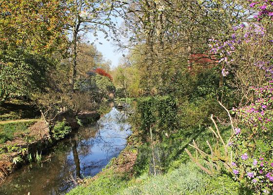 Ramster Gardens (6)